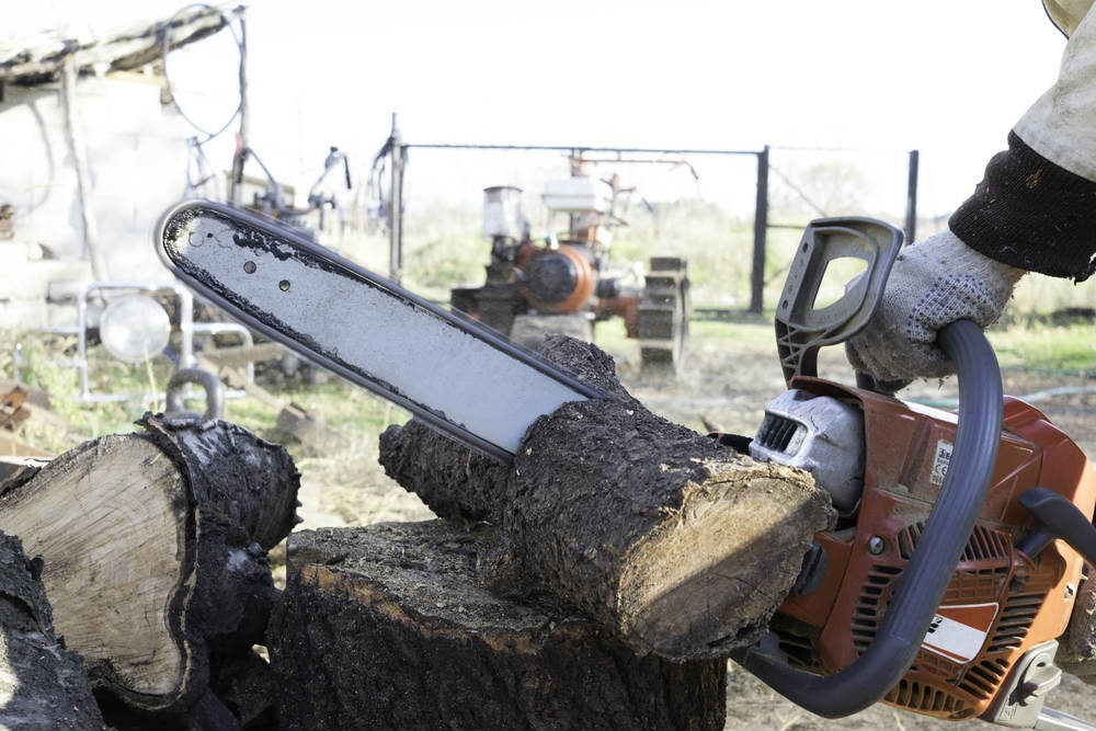 Top 6 Chainsaw Models