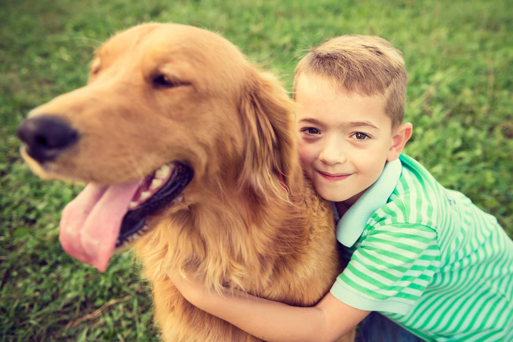 Top 5 Dog Breeds for Households with Kids