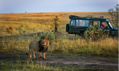 The Top 3 African Safari Tours