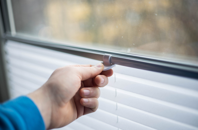 Finding the Best Deals on Cellular Shades