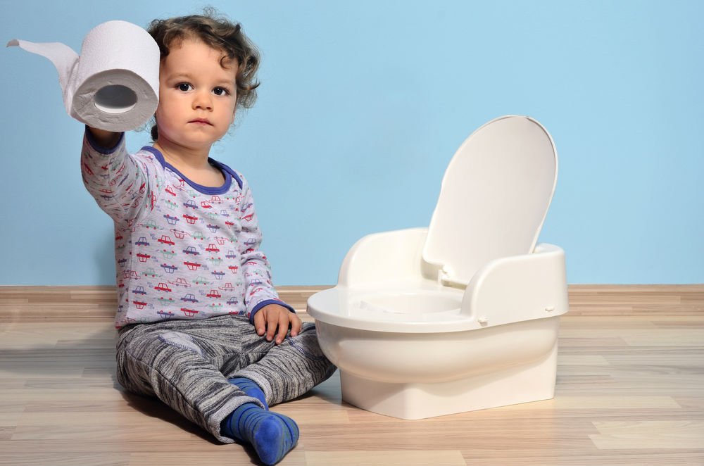 Top 5 Best Potty Training Products