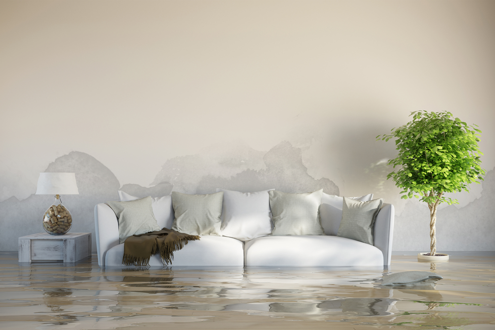 Top 3 Water Damage Clean Up Companies
