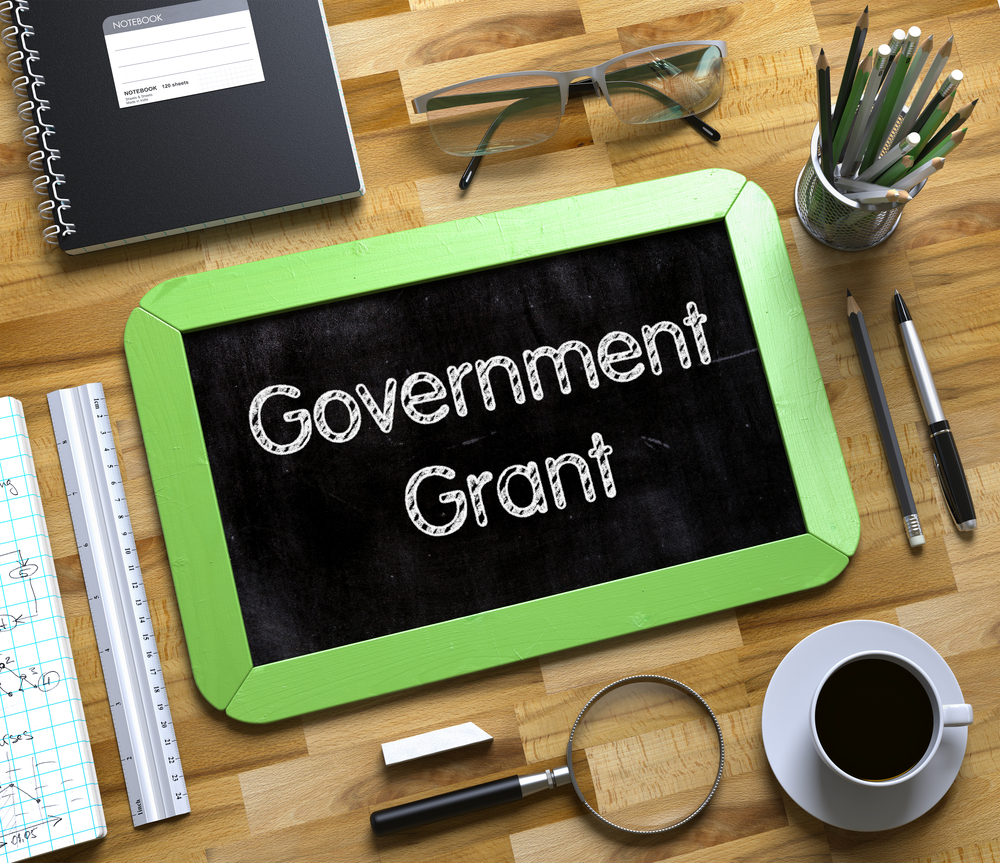 Top 3 Government Grant Programs