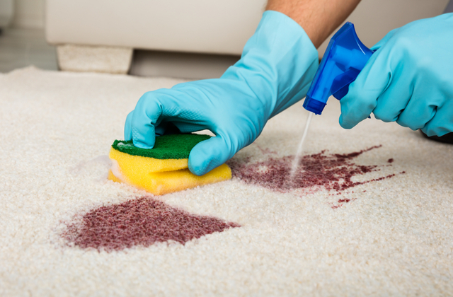 The Three Best Stain Removal Products